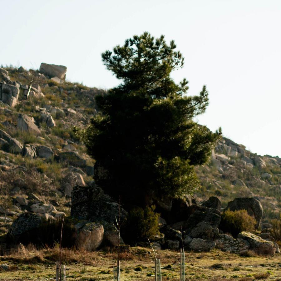 Quinta Do Chaozinho Villa Alijó Buitenkant foto