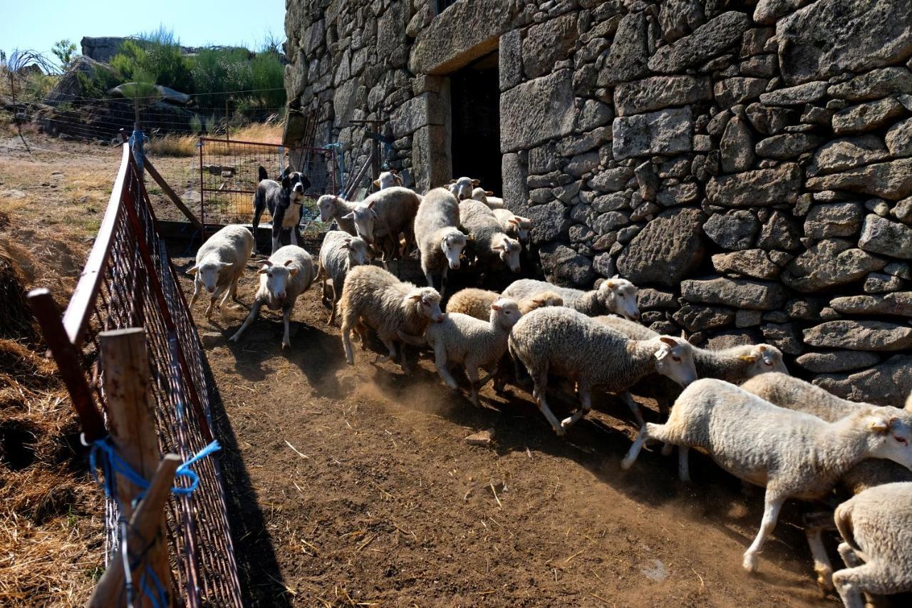 Quinta Do Chaozinho Villa Alijó Buitenkant foto