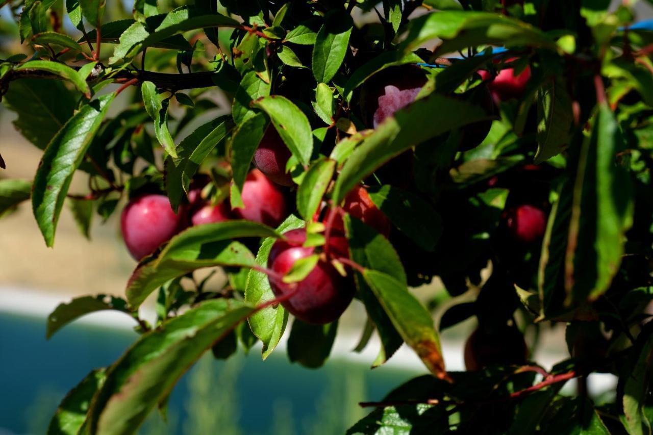 Quinta Do Chaozinho Villa Alijó Buitenkant foto