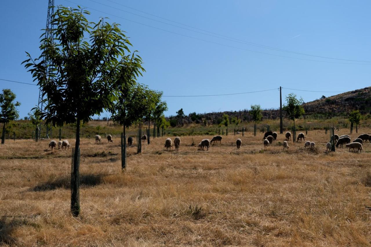 Quinta Do Chaozinho Villa Alijó Buitenkant foto