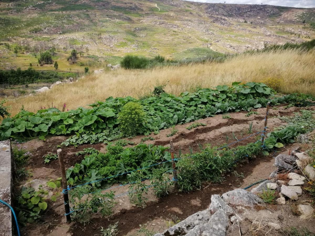 Quinta Do Chaozinho Villa Alijó Buitenkant foto